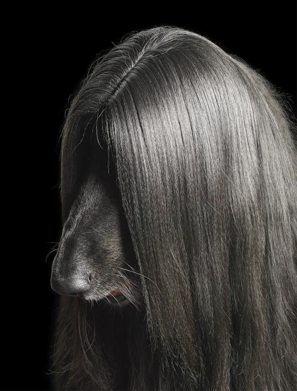 http://sharky.cowblog.fr/images/NEW18Out11/timflach3.jpg