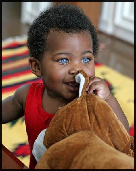 http://sharky.cowblog.fr/images/NEWoneSept2011B/2601blueeyedblackbaby473592.jpg