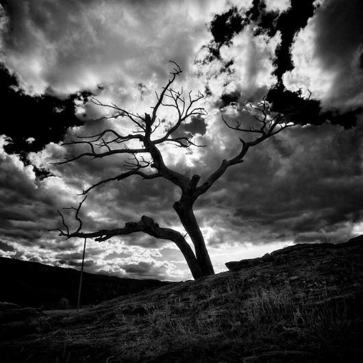 http://sharky.cowblog.fr/images/NEWoneSept2011B/monochromelandscapes105274530530.jpg